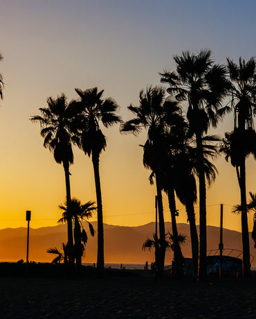 Embracing My Dark Skin: A Journey from Insecurity to Empowerment